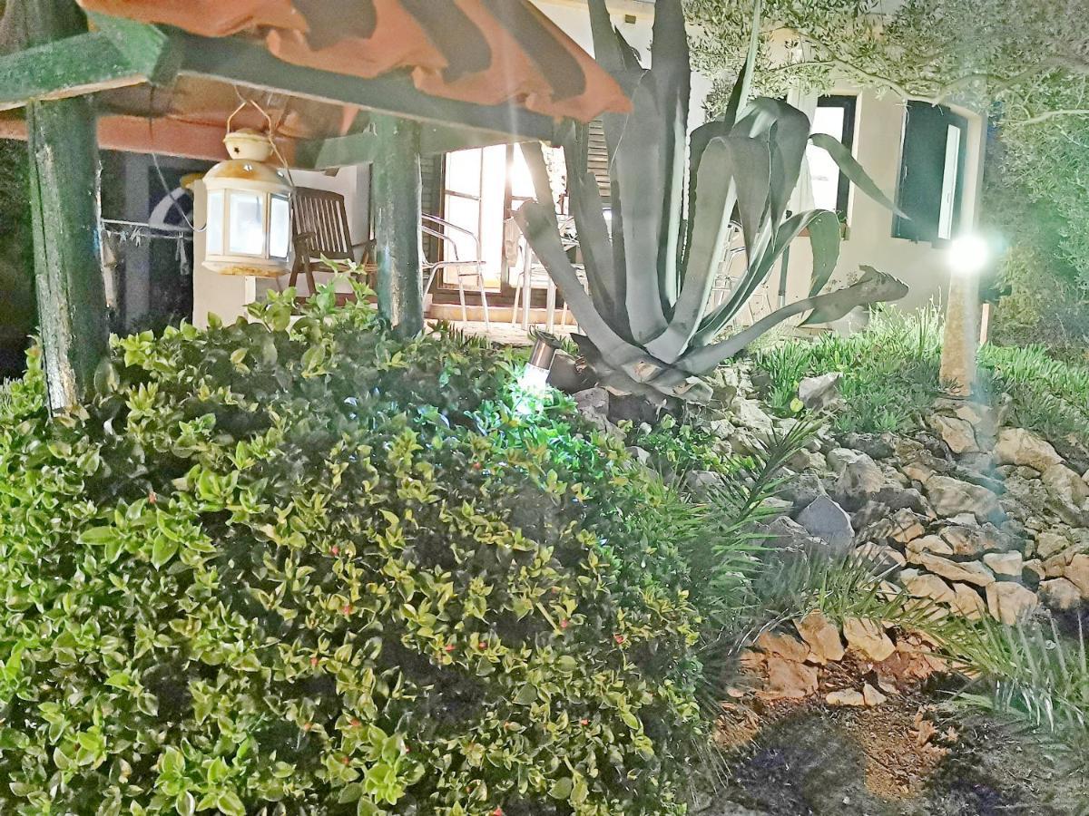 Apartmani Antonela&Andrej Privlaka  Buitenkant foto