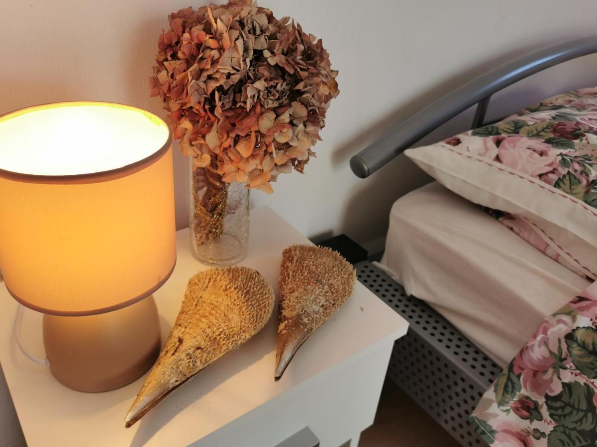 Apartmani Antonela&Andrej Privlaka  Buitenkant foto